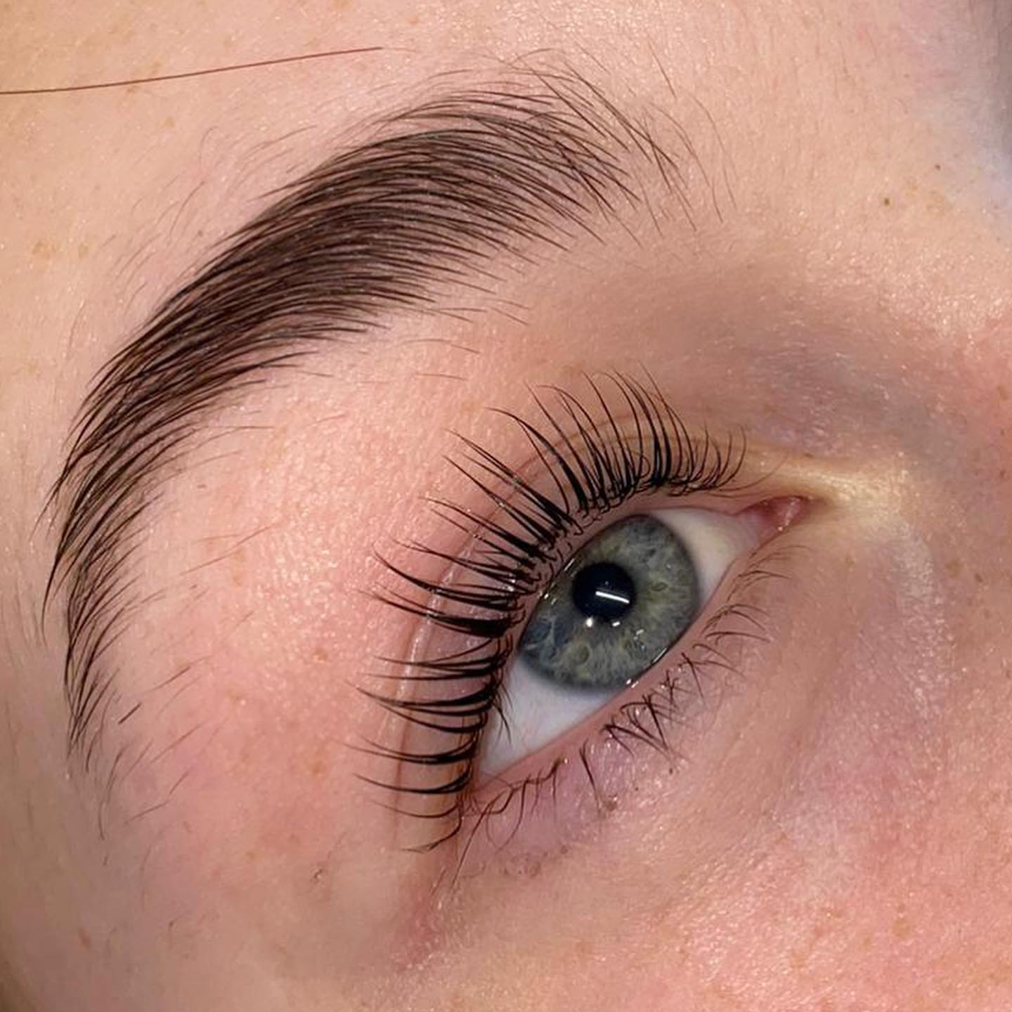 Lush Lashes County Down